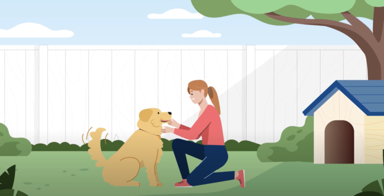 Animated Video – Dog is your responsibility